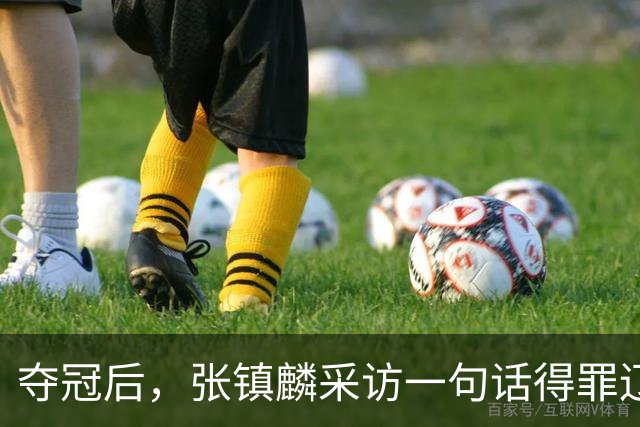 夺冠后，张镇麟采访一句话得罪辽宁，辽蜜：有本事到四川证明价值